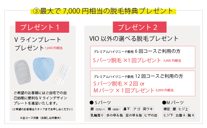ハイジニーナをご契約全員に3つの特典プレゼント「Vラインプレート進呈」「Sパーツ脱毛×3回無料」