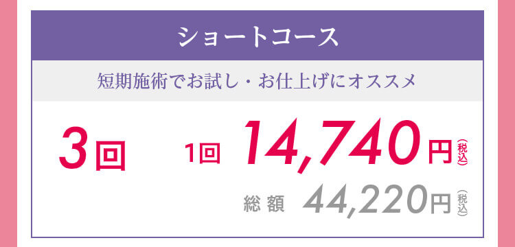 ショートコース3回　1回14,740円（税込）　総額44,220円（税込）