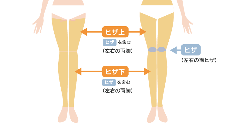 ヒザ上、ヒザ下、膝の皿の3パーツに分類されます