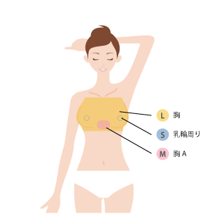 胸脱毛は「胸」「胸A」「乳輪周り」の3パーツに分類されます