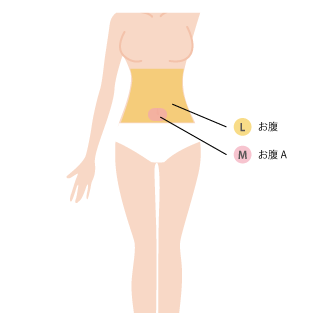 お腹施術範囲：みぞおち～腰骨