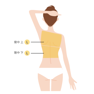 首の付け根〜肩甲骨下