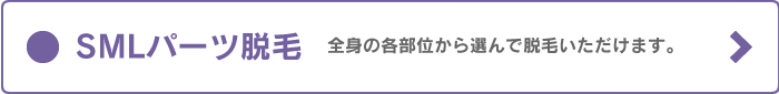 SMLパーツ脱毛について