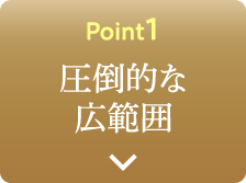 Point1 圧倒的な広範囲